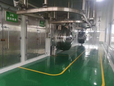 真空凍干機(jī)廠家講什么是冷凍干燥的過(guò)程 真空凍干機(jī)廠家講什么是冷凍干燥的過(guò)程